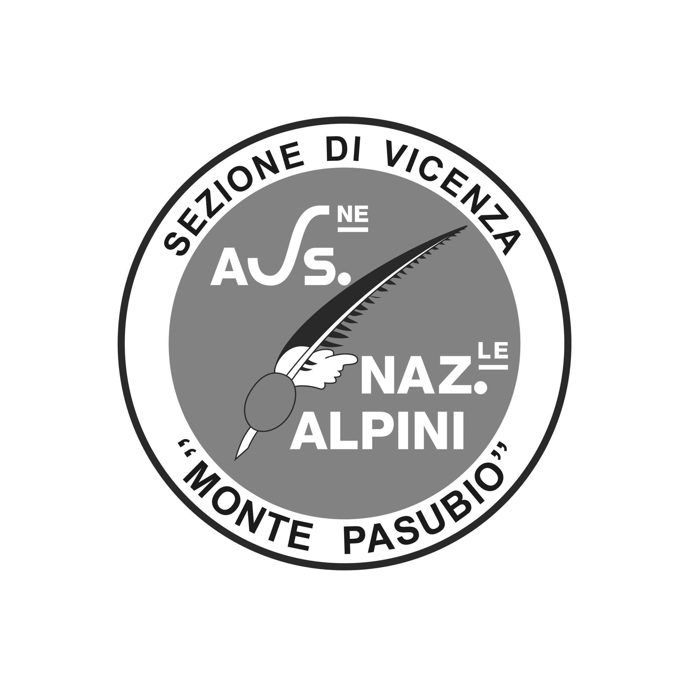 Logo ASSOCAZIONE NAZIONALE ALPINI SEZIONE DI VICENZA