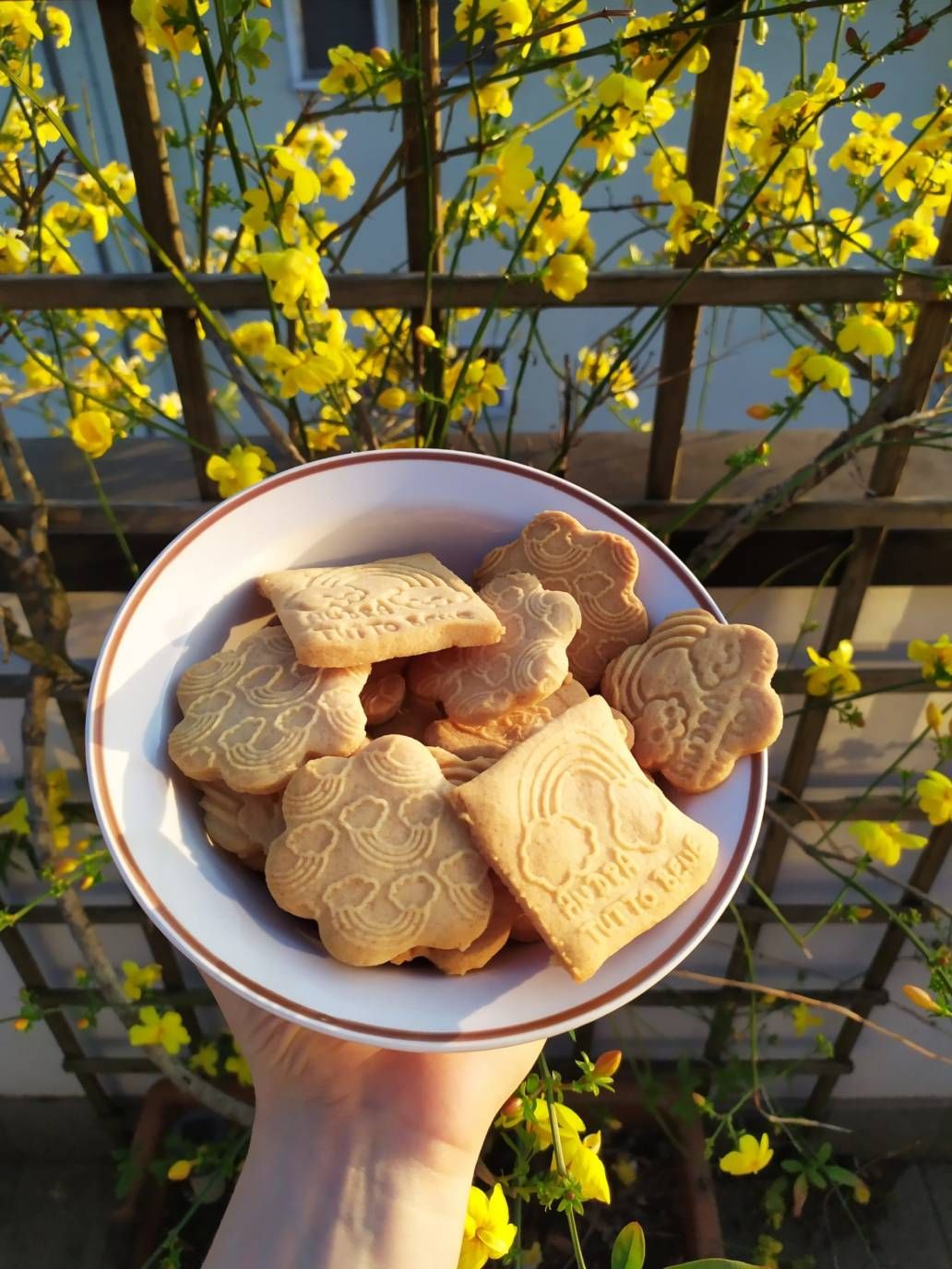 Dei biscotti personalizzati grazie ai timbri per biscotti di Incisoria Vicentina